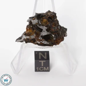 Brahin Pallasite Meteorite 8.6g Slice