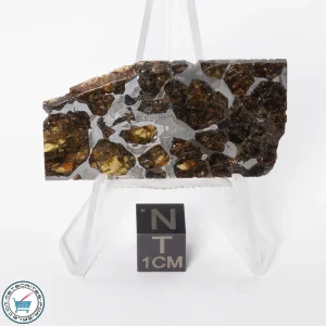 Brahin Pallasite Meteorite 12.2g Slice