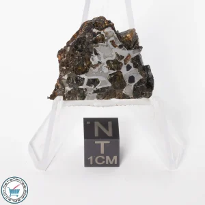 Brahin Pallasite Meteorite 6.3g Slice