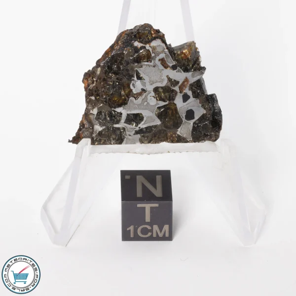 Brahin Pallasite Meteorite 6.3g Slice
