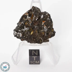 Brahin Pallasite Meteorite 8.3g Slice