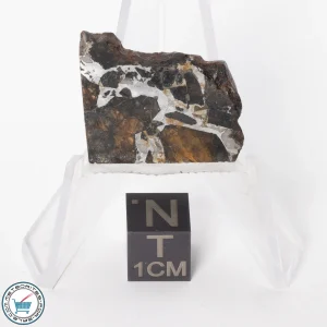 Brahin Pallasite Meteorite 6.2g Slice