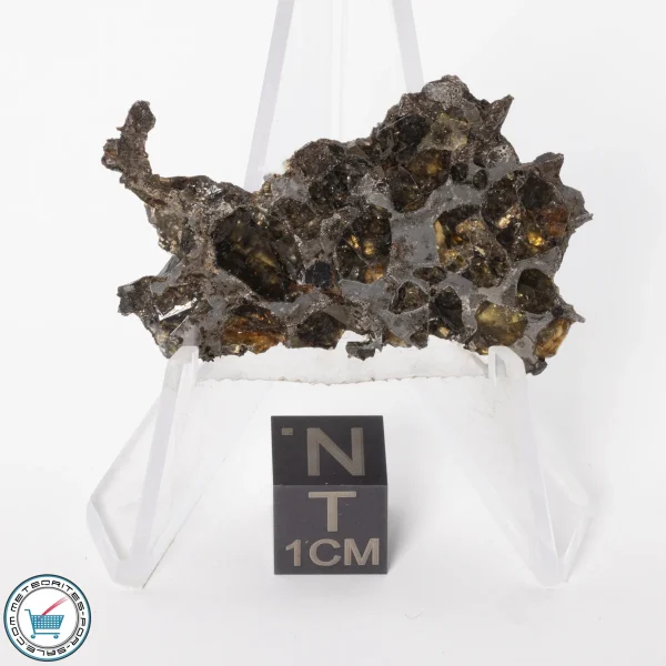 Brahin Pallasite Meteorite 7.1g Slice