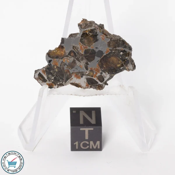 Brahin Pallasite Meteorite 6.3g Slice