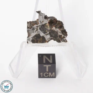 Brahin Pallasite Meteorite 3.6g Slice