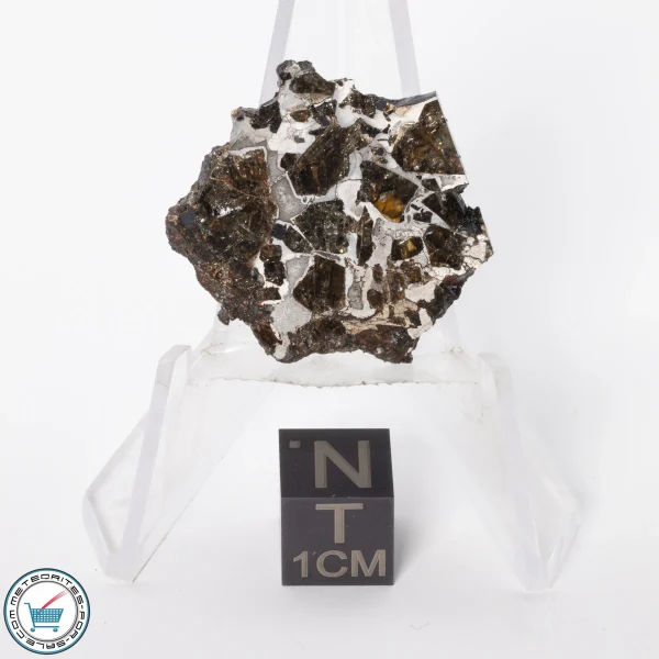 Brahin Pallasite Meteorite 5.2g Slice