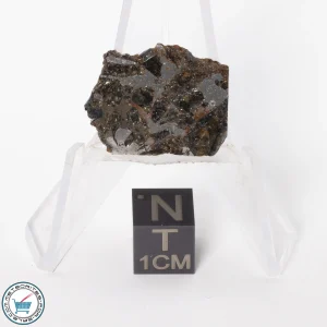 Brahin Pallasite Meteorite 5.0g Slice