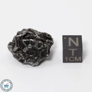 Campo del Cielo Meteorite 20.9g Crystal