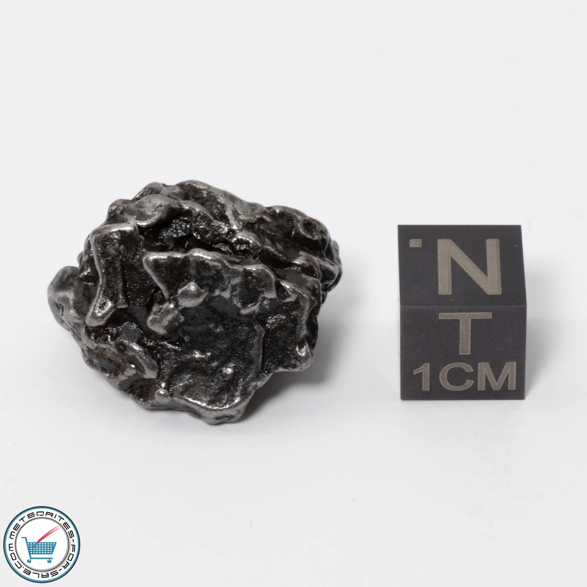 Campo del Cielo Meteorite 20.9g Crystal