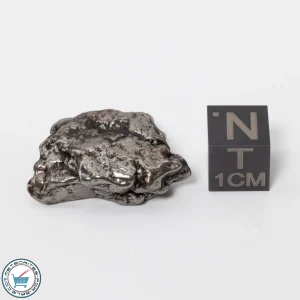 Campo del Cielo Meteorite 17.4g Crystal