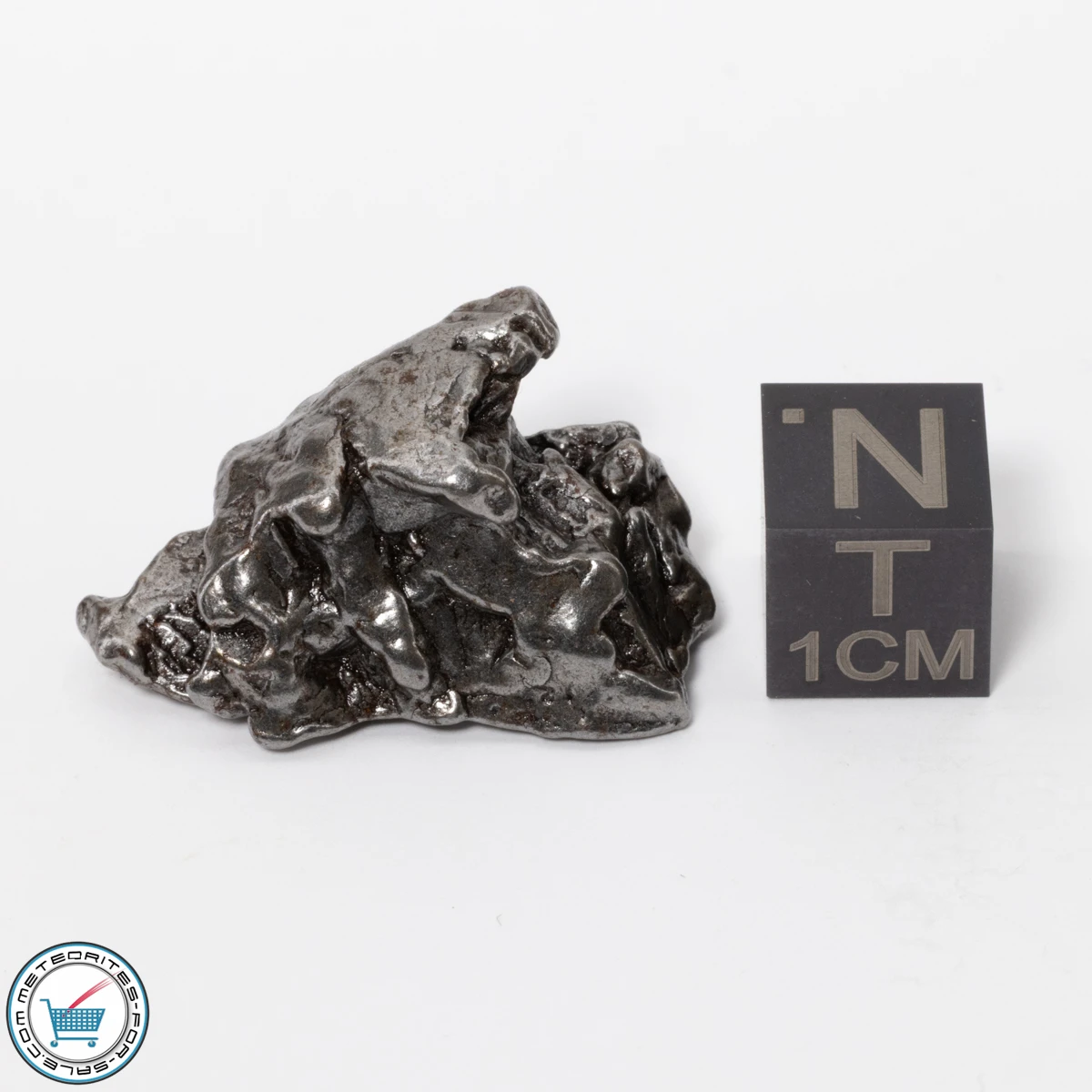 Campo del Cielo Meteorite 17.7g Crystal
