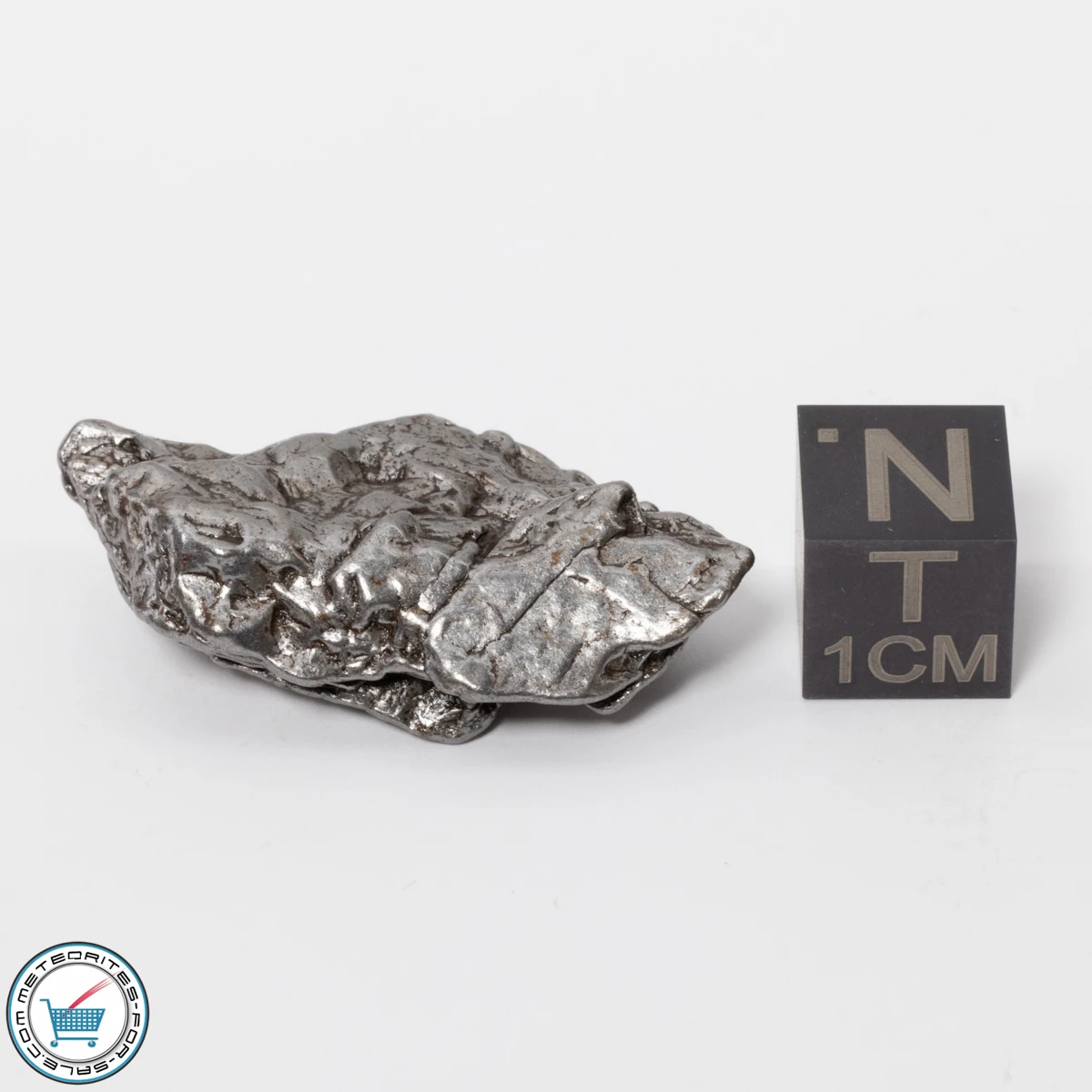 Campo del Cielo Meteorite 17.1g Crystal