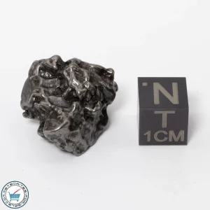 Campo del Cielo Meteorite 17.8g Crystal