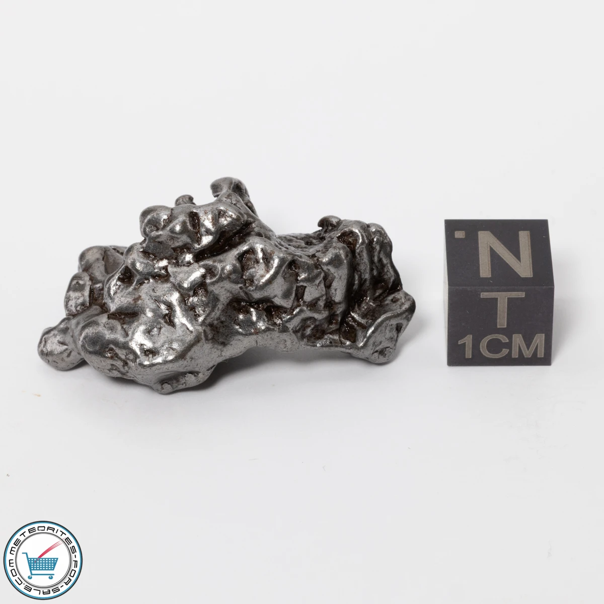 Campo del Cielo Meteorite 26.1g Crystal