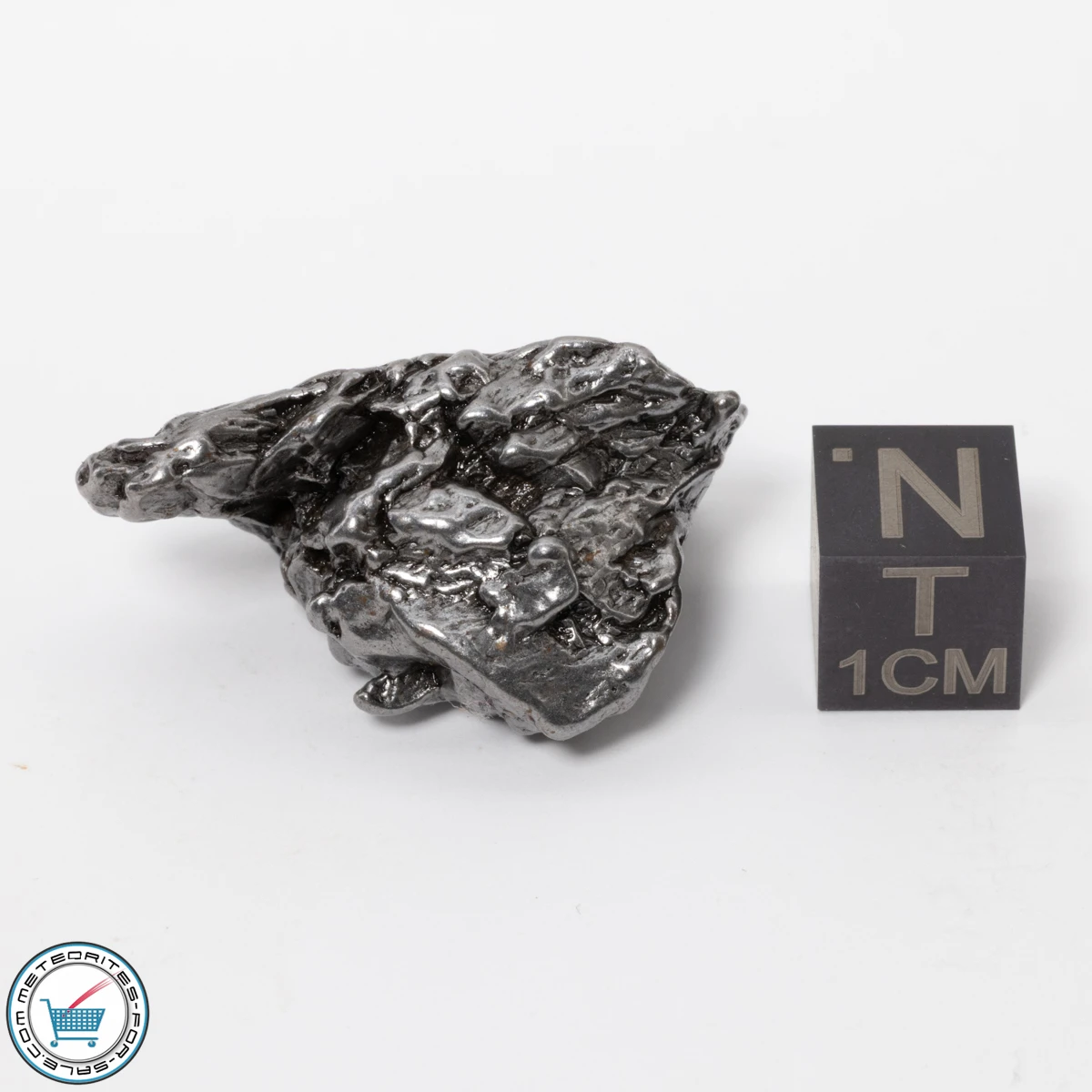 Campo del Cielo Meteorite 29.3g Crystal