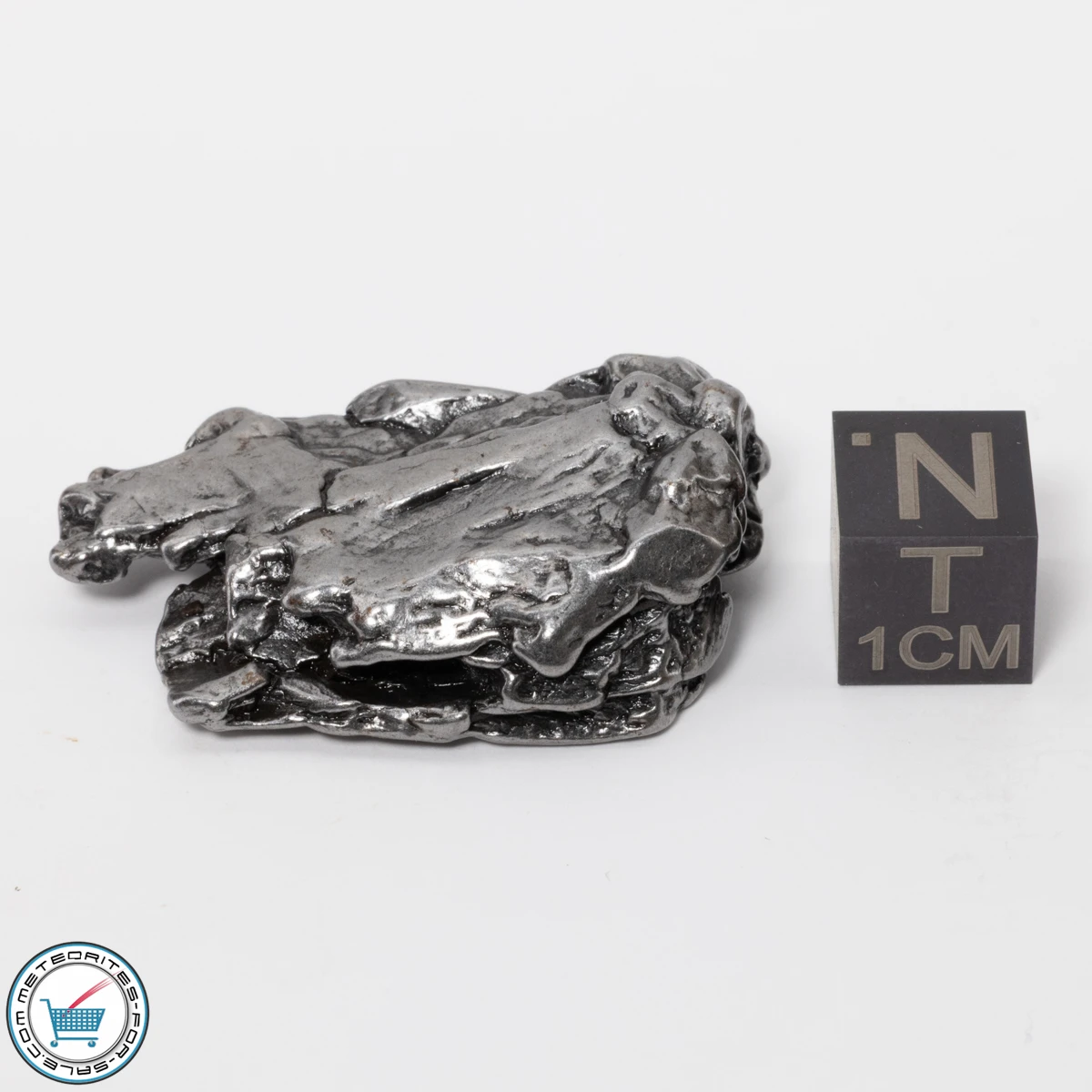 Campo del Cielo Meteorite 25.6g Crystal