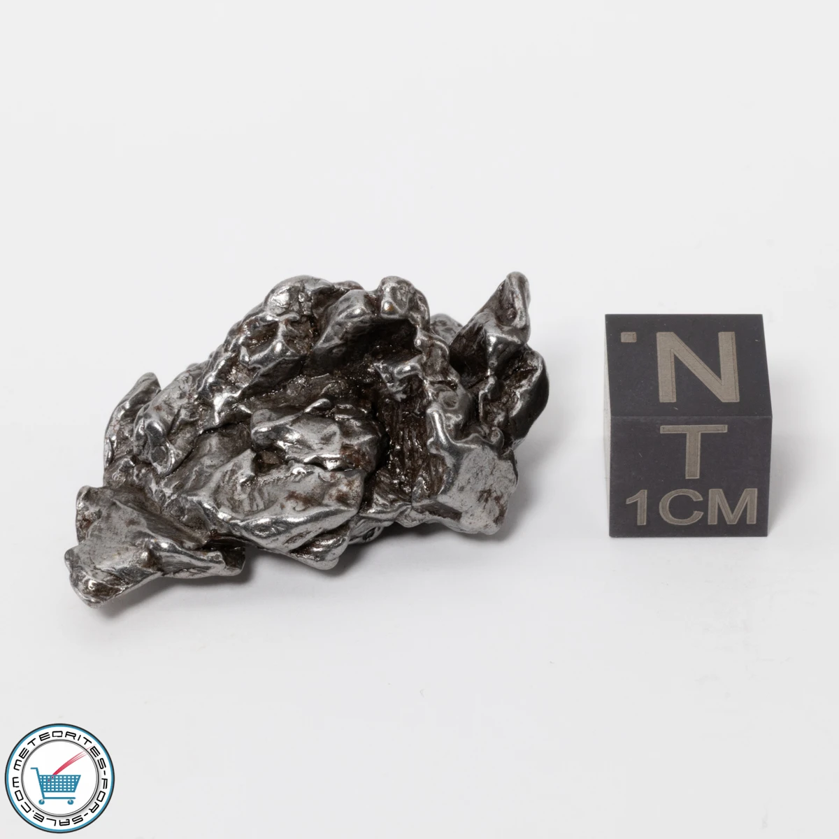 Campo del Cielo Meteorite 21.2g Crystal