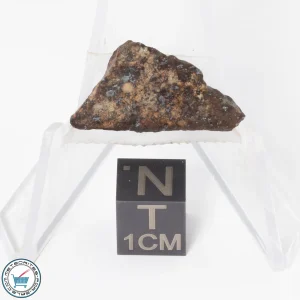 Gold Basin Meteorite 1.5g Slice