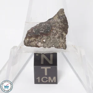 Gold Basin Meteorite 1.4g Slice