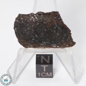 Gold Basin Meteorite 2.0g Slice