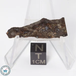 Gold Basin Meteorite 3.2g Slice