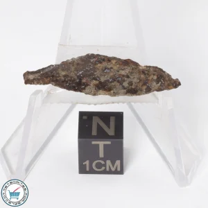 Gold Basin Meteorite 1.4g Slice