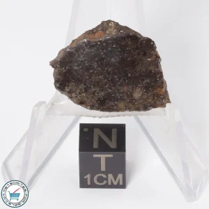 Gold Basin Meteorite 3.1g End-Cut