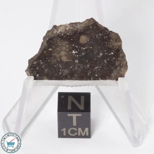 Gold Basin Meteorite 4.1g Slice