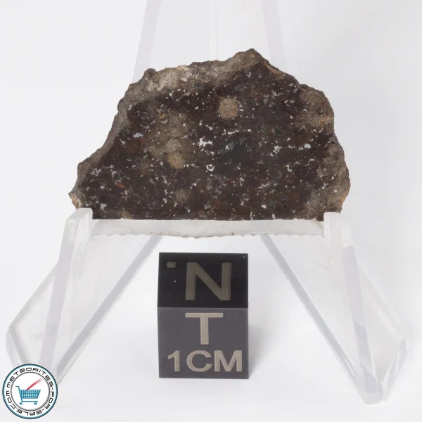Gold Basin Meteorite 4.1g Slice