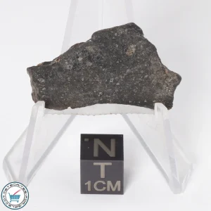 Gold Basin Meteorite 6.1g Slice
