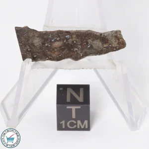 Gold Basin Meteorite 2.3g Slice