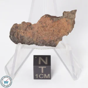 Gold Basin Meteorite 3.3g End-Cut