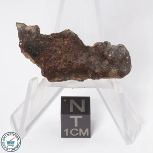 Gold Basin Meteorite 3.3g End-Cut