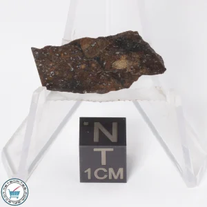 Gold Basin Meteorite 2.6g Slice