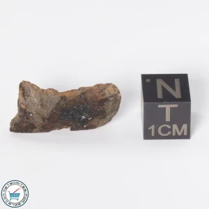Gold Basin Meteorite 2.8g End-Cut