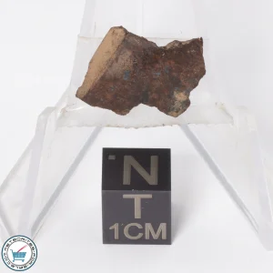 Gold Basin Meteorite 1.5g End-Cut
