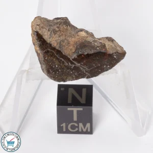 Gold Basin Meteorite 6.6g End-Cut