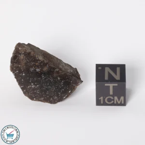 Gold Basin Meteorite 9.6g End-Cut