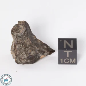 Gold Basin Meteorite 6.0g End-Cut
