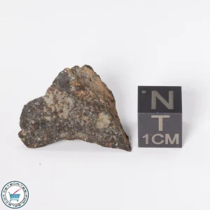 Gold Basin Meteorite 6.0g End-Cut