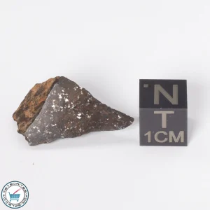 Gold Basin Meteorite 3.5g End-Cut
