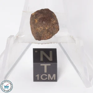 Gold Basin Meteorite 1.9g End-Cut