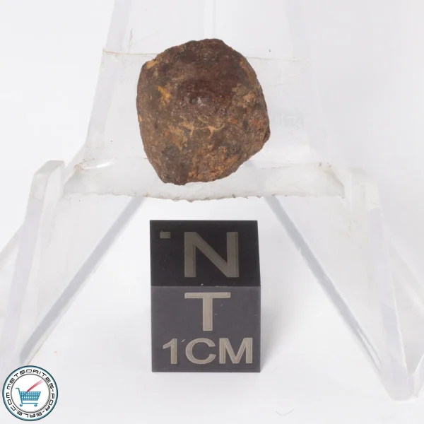 Gold Basin Meteorite 1.9g End-Cut