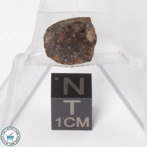 Gold Basin Meteorite 1.9g End-Cut