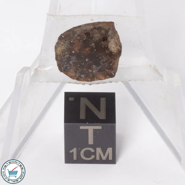 Gold Basin Meteorite 1.9g End-Cut