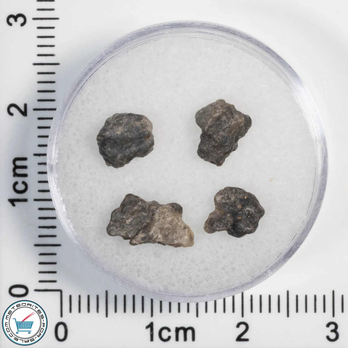 Laâyoune 002 Lunar Meteorite 0.56g