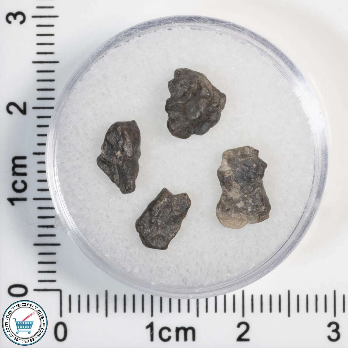 Laâyoune 002 Lunar Meteorite 0.61g