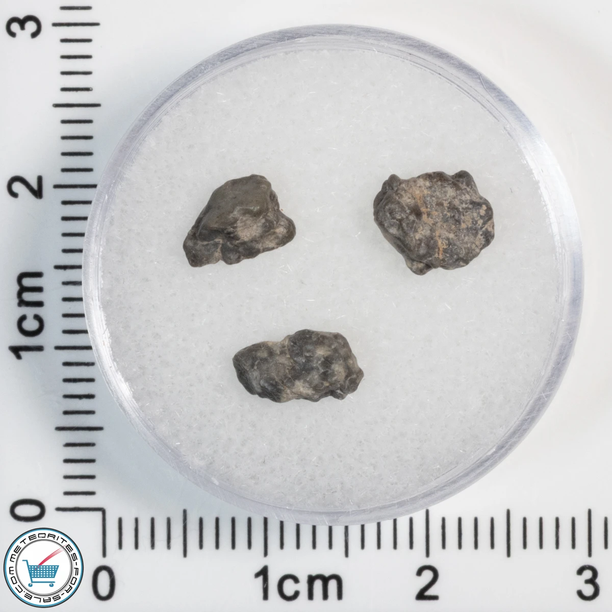 Laâyoune 002 Lunar Meteorite 0.50g