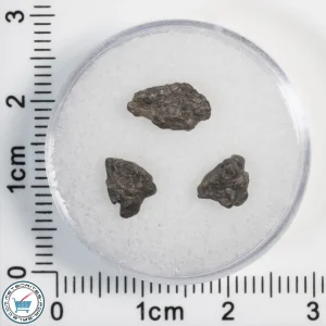 Laâyoune 002 Lunar Meteorite 0.50g