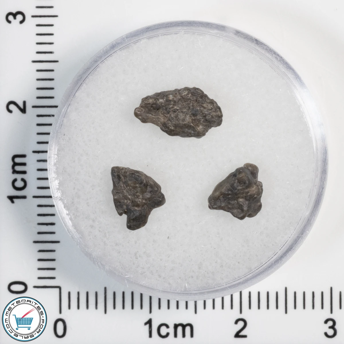 Laâyoune 002 Lunar Meteorite 0.50g